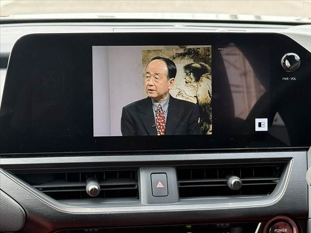 TOYOTA LEXUS UX250H 2023 Image 31