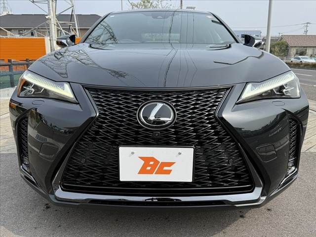 TOYOTA LEXUS UX250H 2023 Image 31