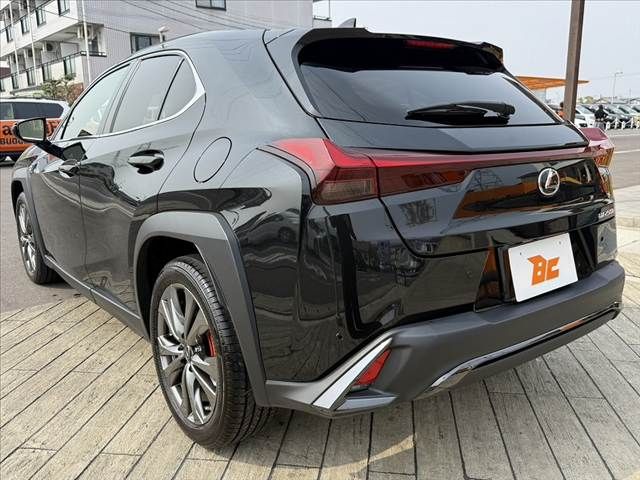 TOYOTA LEXUS UX250H 2023 Image 31