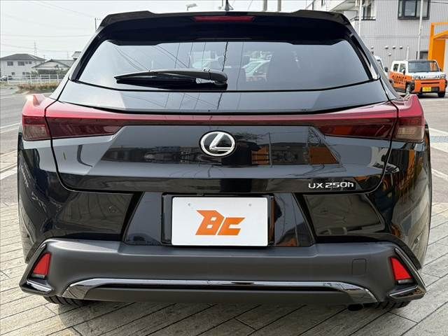 TOYOTA LEXUS UX250H 2023 Image 31