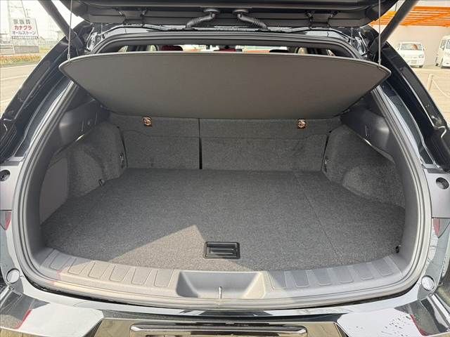 TOYOTA LEXUS UX250H 2023 Image 31