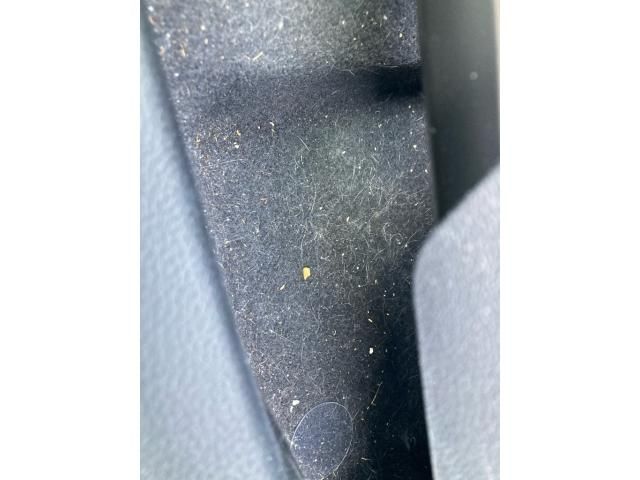 TOYOTA C-HR 2017 Image 31