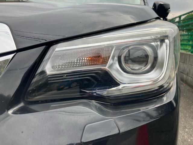 SUBARU FORESTER 2017 Image 31