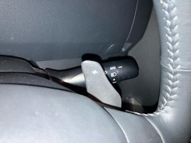 TOYOTA RACTIS 2010 Image 31