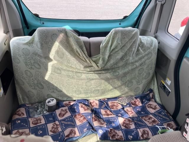 SUZUKI SPACIA 4WD 2015 Image 31