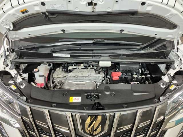 TOYOTA ALPHARD 4WD 2021 Image 31