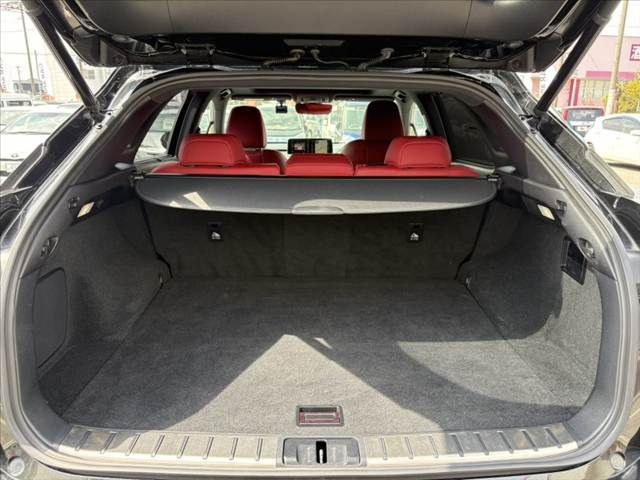 TOYOTA LEXUS RX300 2020 Image 31