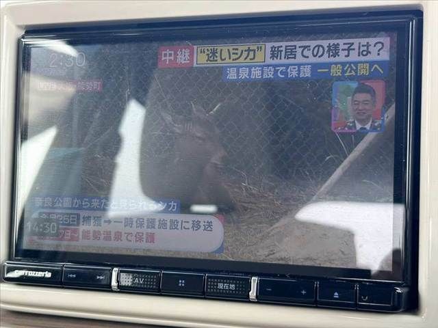 SUZUKI ALTO LAPIN 2019 Image 31