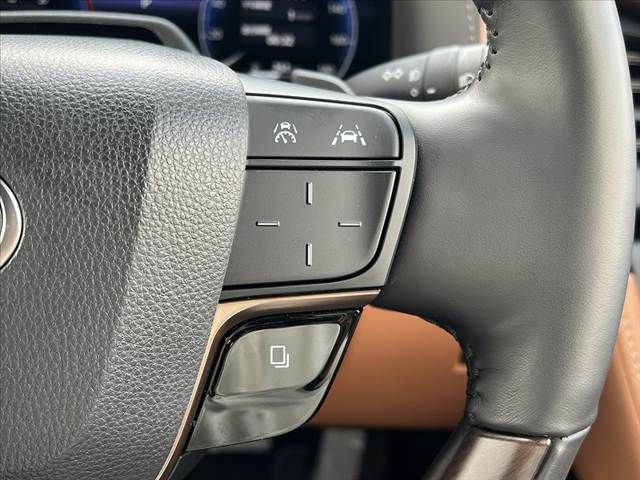 TOYOTA VELLFIRE 2025 Image 31