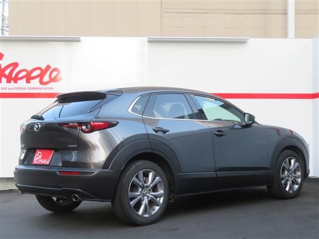 MAZDA CX-30 2023 Image 31