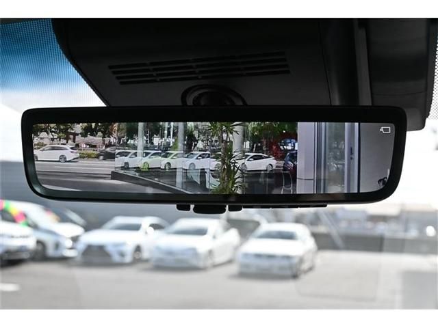 TOYOTA LEXUS LM500H 2024 Image 31