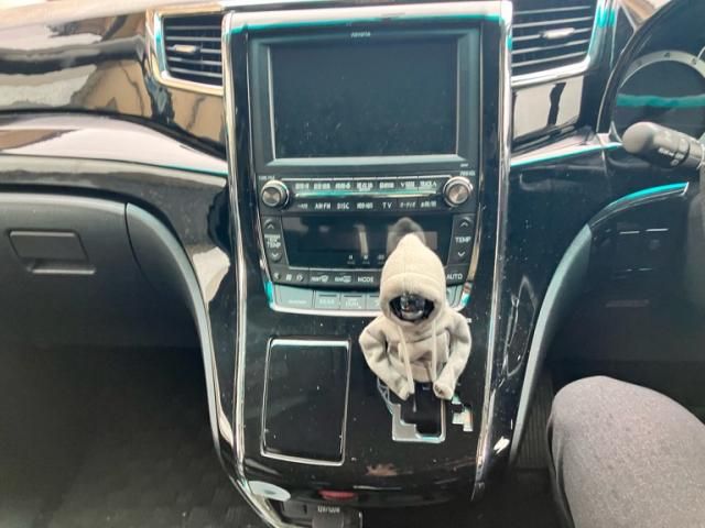 TOYOTA ALPHARD 2008 Image 31