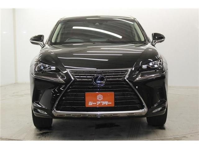 TOYOTA LEXUS NX300H 2018 Image 31
