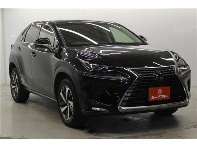 TOYOTA LEXUS NX300H 2018 Image 31