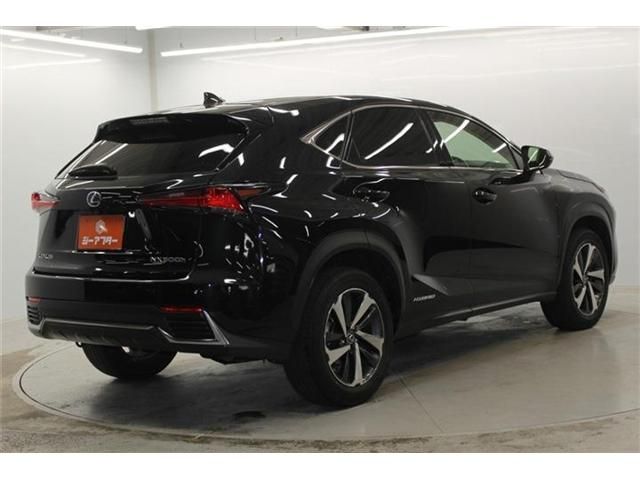 TOYOTA LEXUS NX300H 2018 Image 31