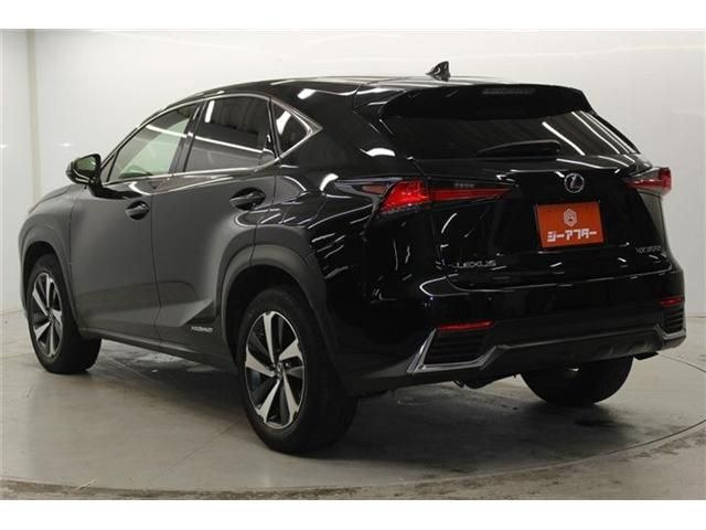 TOYOTA LEXUS NX300H 2018 Image 31