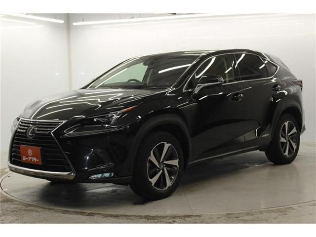 TOYOTA LEXUS NX300H 2018 Image 31