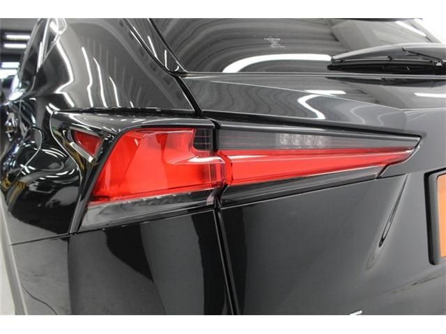 TOYOTA LEXUS NX300H 2018 Image 31