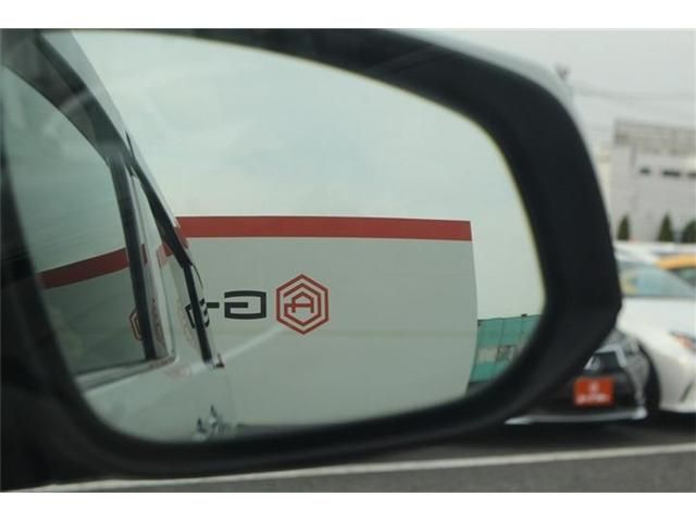 TOYOTA ALPHARD HYBRID 4WD 2015 Image 31