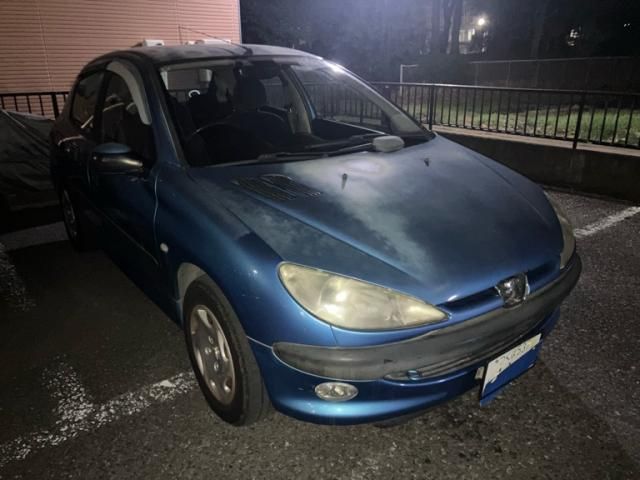 PEUGEOT 206 2001 Image 31