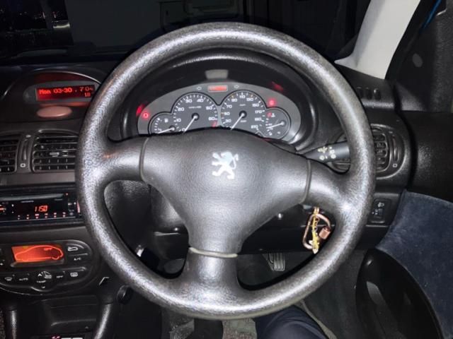 PEUGEOT 206 2001 Image 31