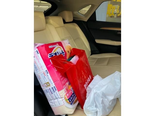 TOYOTA LEXUS NX300H 2015 Image 31