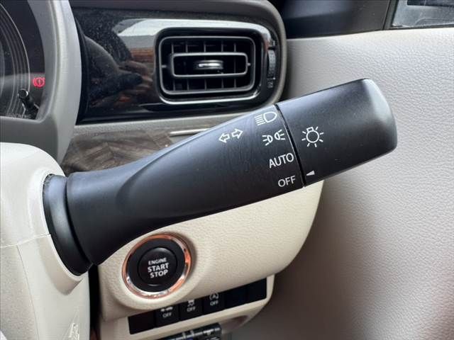 SUZUKI ALTO LAPIN 2019 Image 31