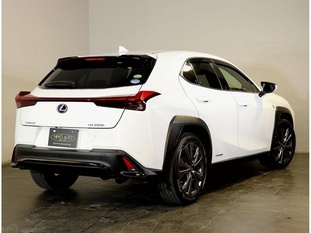 TOYOTA LEXUS UX250H 2020 Image 31