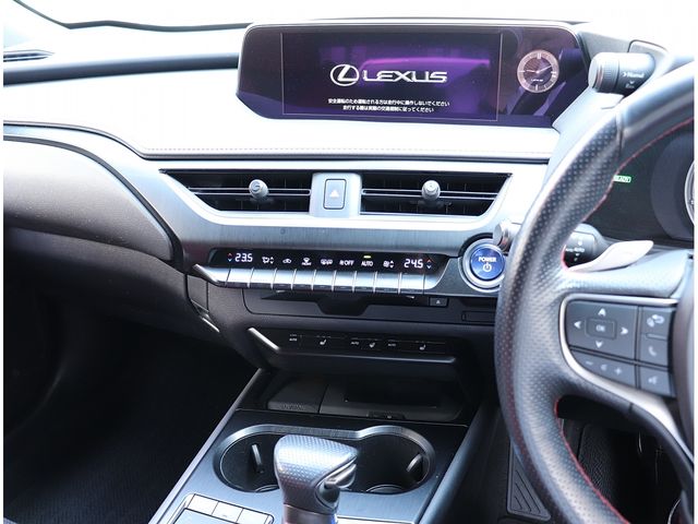 TOYOTA LEXUS UX250H 2020 Image 31