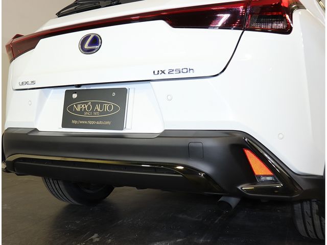 TOYOTA LEXUS UX250H 2020 Image 31