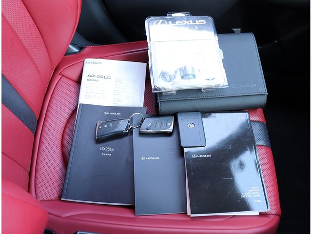 TOYOTA LEXUS UX250H 2020 Image 31