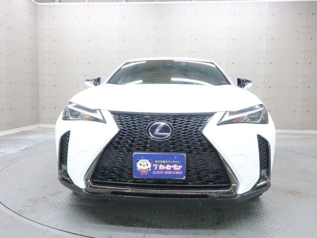 TOYOTA LEXUS UX250H 2019 Image 31