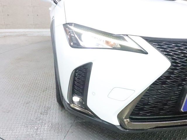 TOYOTA LEXUS UX250H 2019 Image 31