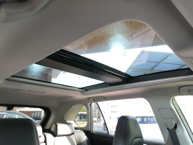 TOYOTA RAV4 HYBRID 4WD 2024 Image 31