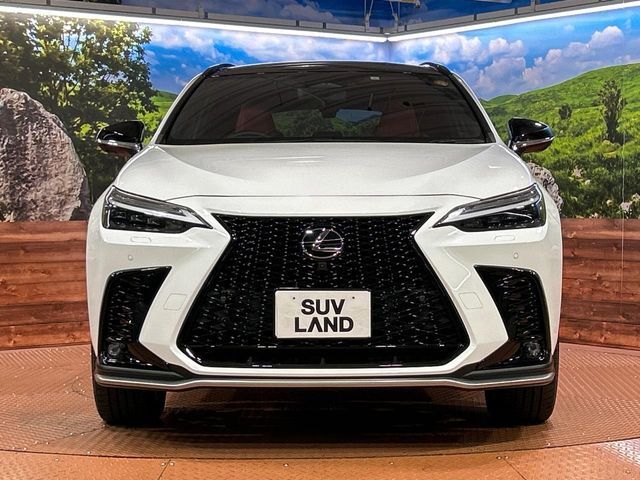 TOYOTA LEXUS NX350H 2023 Image 31