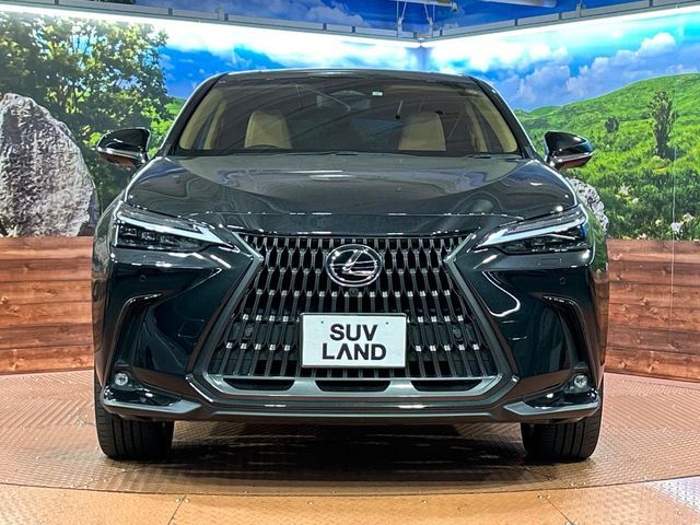 TOYOTA LEXUS NX350H 2023 Image 31