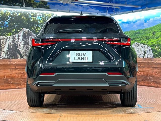 TOYOTA LEXUS NX350H 2023 Image 31