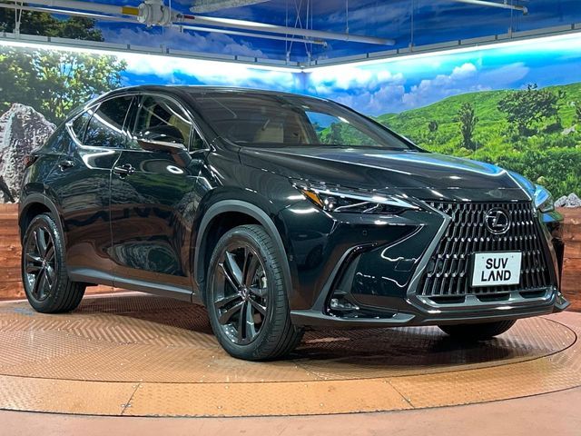 TOYOTA LEXUS NX350H 2023 Image 31