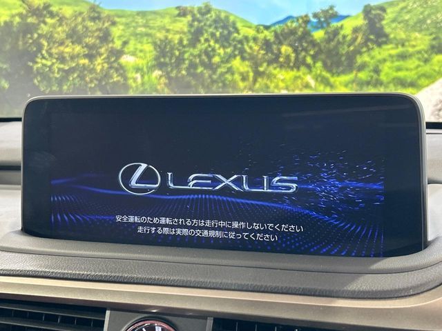 TOYOTA LEXUS RX300 2021 Image 31