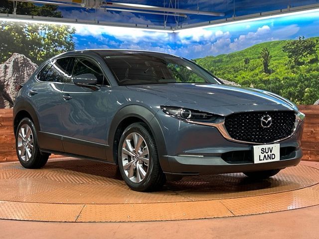 MAZDA CX-30 2020 Image 31