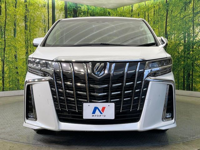 TOYOTA ALPHARD 2019 Image 31