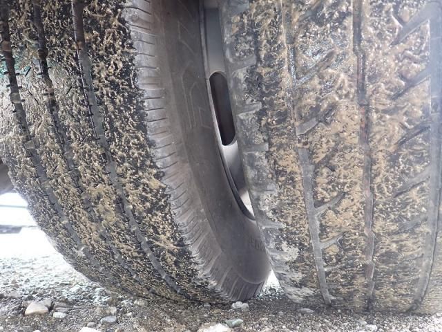 HINO LIESSE 2017 Image 31