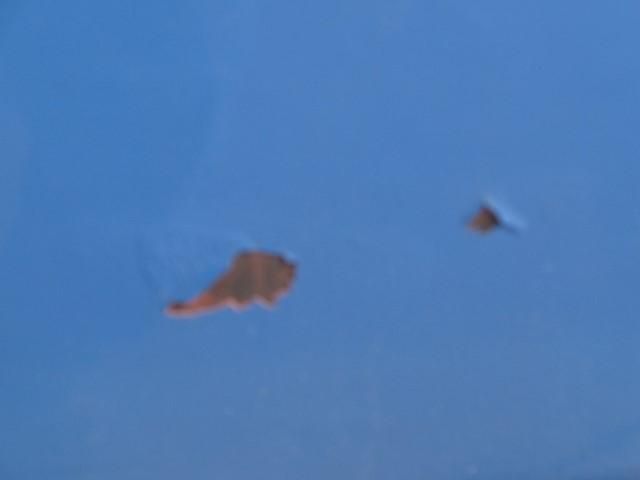 ISUZU ELF 2017 Image 31