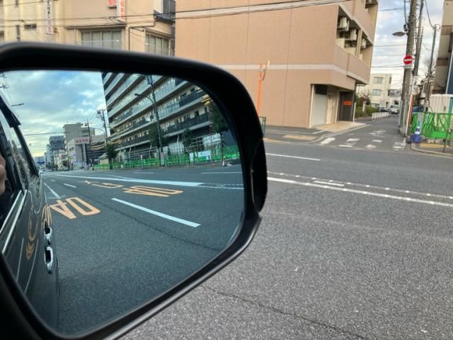 TOYOTA VELLFIRE 2008 Image 31