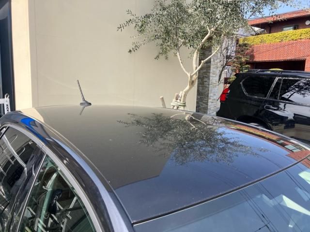 VOLKSWAGEN POLO 2021 Image 31