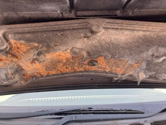 MAZDA BIANTE 2013 Image 31