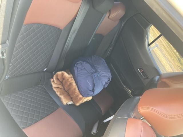 TOYOTA C-HR 2019 Image 31