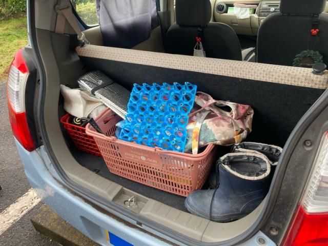 SUZUKI ALTO 2011 Image 31