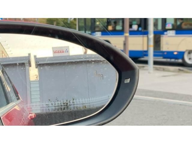 VOLKSWAGEN GOLF VARI 2020 Image 31