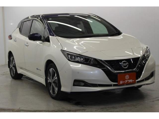 NISSAN LEAF 2021 Image 31